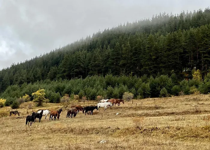 Kassandrov Ravnogor/ касандрова къща равногор بيت للعطل *