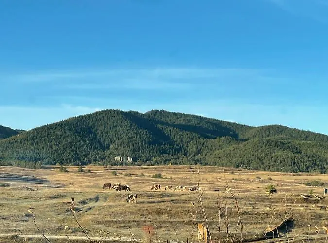 بيت للعطل Kassandrov Ravnogor/ касандрова къща равногор